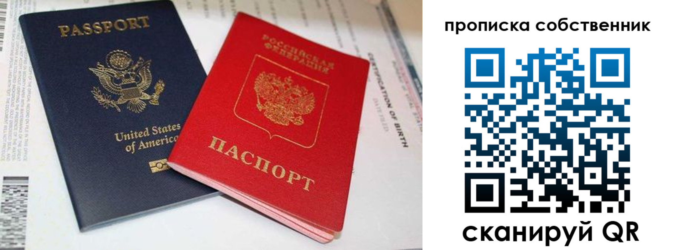 прописка для школы в Сальске